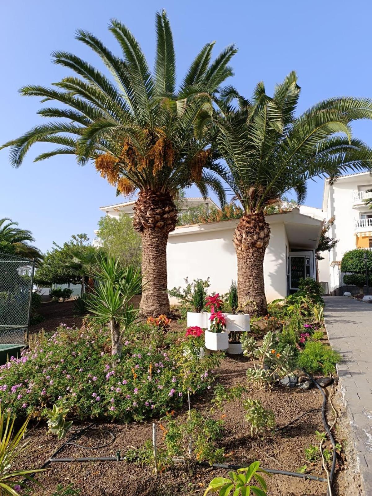 Vista Hermosa Apartment Arona  Exterior photo